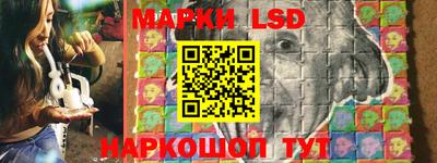 стафф Гудермес