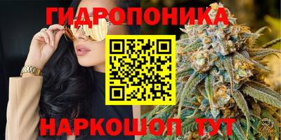 СК Гуково