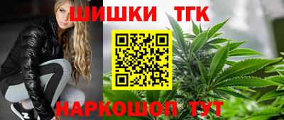 стафф Гудермес