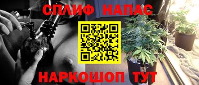 стафф Гудермес